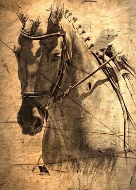 Equestrian A nostalgic vintage image of a horse by Clar ... 