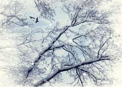 Snow covered branches against a cloudy sky - texturized ... 