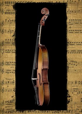 Violin Profile