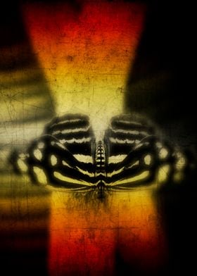 Exotic butterfly on a leaf - texturized photograph