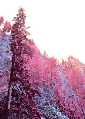 Oregon in Infrared
