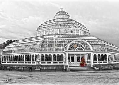 The Palm House Liverpool