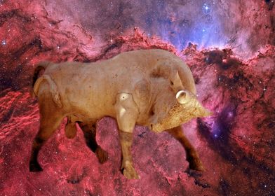 Bull and Space