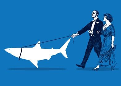 Walking the Shark