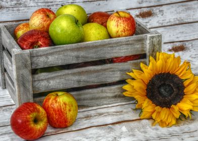 sunflower and apples