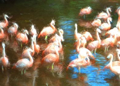 Flamingo dance