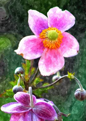 digital painted photography of a flower