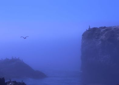 Foggy Ocean