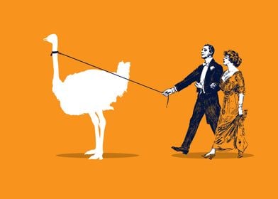 Walking the Ostrich