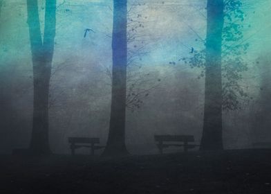 Misty morning in a park