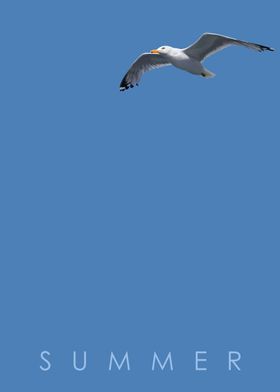 Gull - Blue Series (Summer)