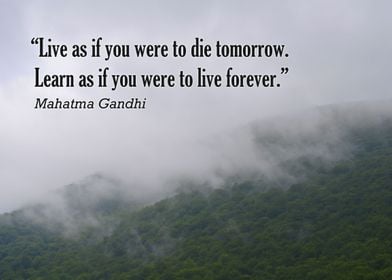 “Live as if you were to die tomorrow. Learn as if you w ... 