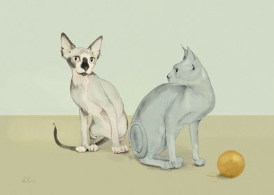 Gatti, Illustrazione, disegno digitale