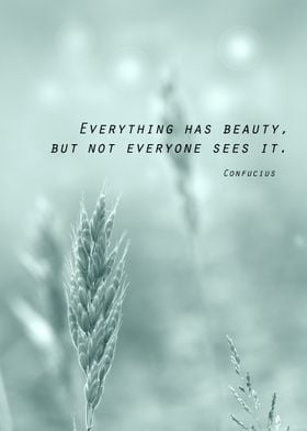 Everything has beauty...