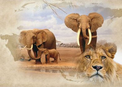 Superimposed wild African wild life Elephant and young  ... 