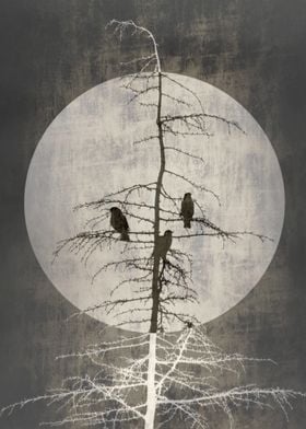 Three birds and the moon 