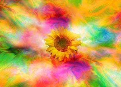 Psychedelic sunflower