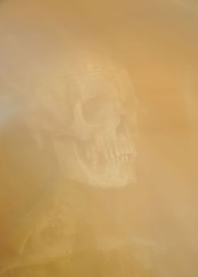 Human skull in soft smoke.