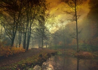 Sunrise in a nearby park