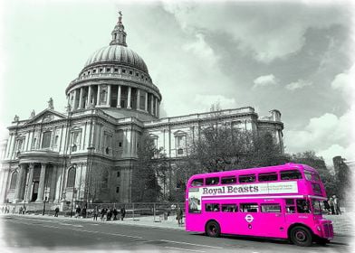 Isolated London Bus in Pink