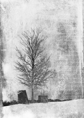 Lone Tree and Cemetery Headstones in Winter