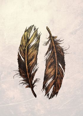 feathers 