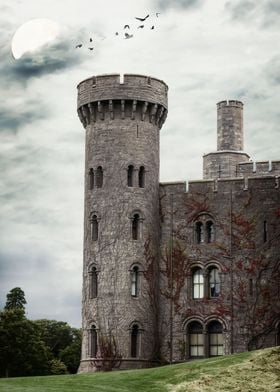 a castle with ivy on its tower