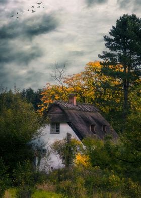 a witch cottage in the woods