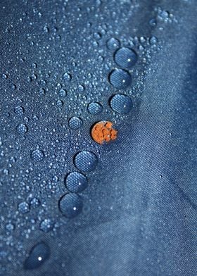macro photography of waterdrops on a umbrella