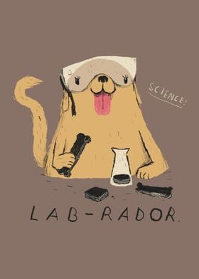 lab-rador