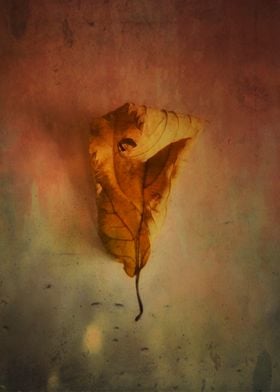 Color photograph Lonely Autumn Leaf