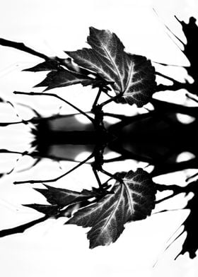 LEAVES MONOCHROM. © 2015 Pia Schneider | atelier COLOUR ... 