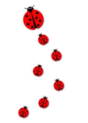 Many Ladybugs Background image with many different size ... 