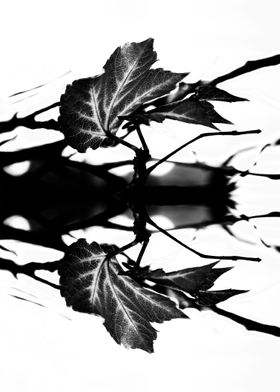 LEAVES MONOCHROM v2. © 2015 Pia Schneider | atelier COL ... 