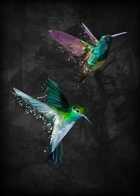 Polymetric hummingbirds shattered with a dark backgroun ... 