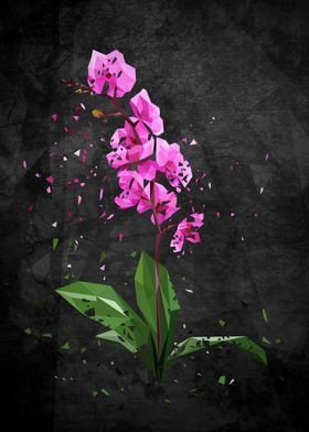 Polymetric orchids shattered with a dark background to  ... 