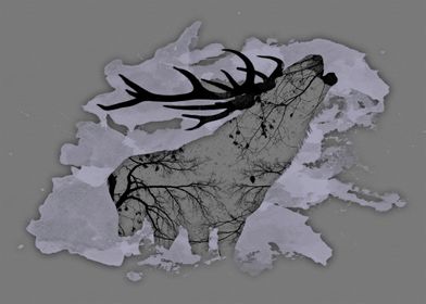 Winter life - Deer
