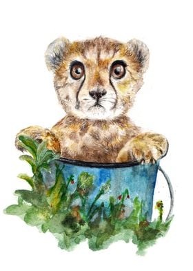 cheetah cub in a bucket
