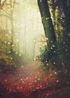 Dreamy surreal forest scenery on a misty fall morning - ... 