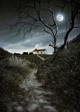 Moody night scene with tree and full moon over a foot t ... 
