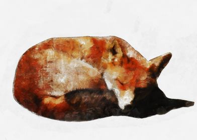 Sleepy fox