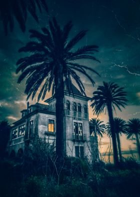 Abandoned old ruin of a house surrounded by palm trees  ... 