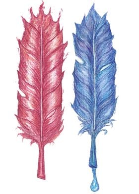 Fire and water feathers