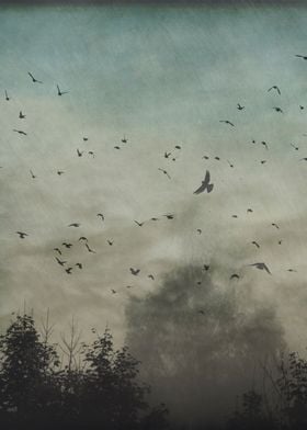 Flock of birds over a misty landscape - textured and ma ... 