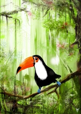 Tucan forest