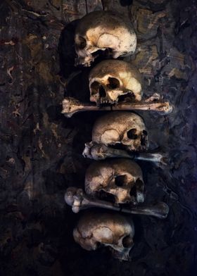 Composition of five skulls and bones
