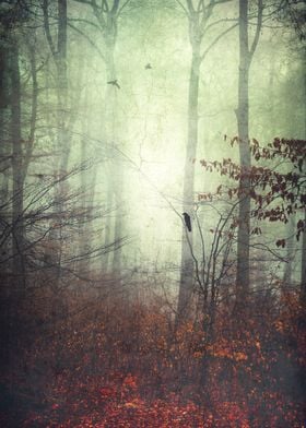seasons Birds in a misty forest on a late fall morning
