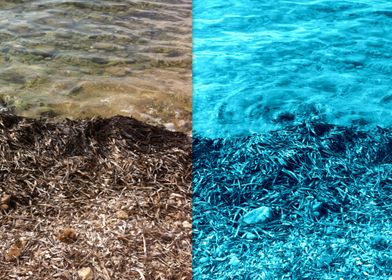 "Two Tone Marine" Merging colour at the water's edge.