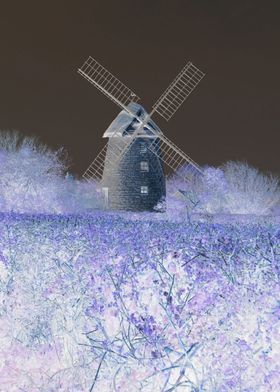 "Windmill In a Purple Haze" I have digitally colour enh ... 