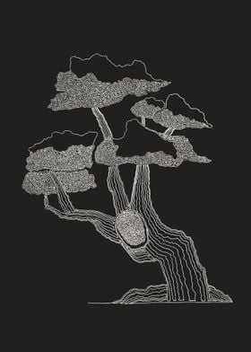 Bonsai drawn of one line. Line begins at the bottom to  ... 